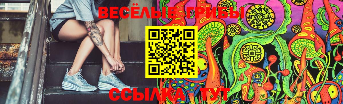 где купить наркоту  Братск  Галлюциногенные грибы Psilocybine cubensis 