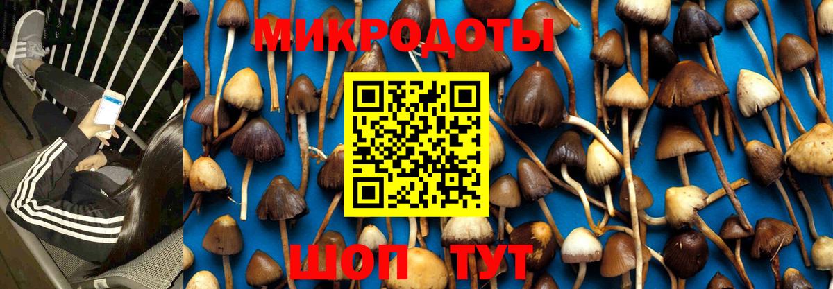 Галлюциногенные грибы Psilocybe  Галлюциногенные грибы ЛСД  продажа наркотиков  Вход с VPN  Братск 